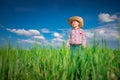 Little farmer boy with straw hat in a green wheat field. Agriculture and farming concept Royalty Free Stock Photo