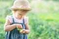 Little farmer child - lovely girl with picked vegetables Royalty Free Stock Photo