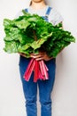 Little farmer girl holding a bunch of swiss chard