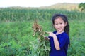 Little farmer harvest peanuts on agriculture plantation