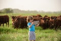 Little farmer kid with tablet near cows farm. Summer kids at countryside. Children at farm. Organic meat, milk, food.
