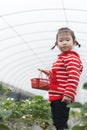 little farmer portrait in greenhouse