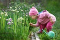 Little farmer raking onions in the garden