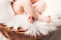 Little feet of baby sleeping in wicker basket. Royalty Free Stock Photo