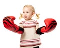 Little fighter Royalty Free Stock Photo