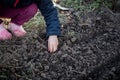 The little fingers of the farmer& x27;s baby push pea seeds into the ground. Teaching farming to children in kindergarten.