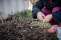 The little fingers of the farmer& x27;s baby push pea seeds into the ground. Teaching farming to children in kindergarten.