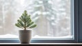 Little fir tree in a pot on a windowsill, with winter landscape seen through the window. Generative AI Royalty Free Stock Photo