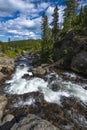 Little Firehole River near the Mystic Falls Royalty Free Stock Photo