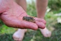 The little fish in the hand of the fisherman Royalty Free Stock Photo