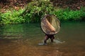 little fisherman at jhargram west bengal india