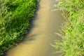 Little fishes in the small river in a spring sunny day