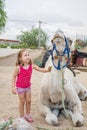 Cute little girl brushing dromedary sitting in countryside on summer