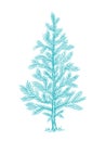 Little fluffy blue Christmas tree. Branch with snow. Conifer or spruce. New year fir-tree. Hand drawn contour vector
