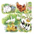 Little fluffy cute watercolor ducklings, chickens and hares with eggs seamless pattern on white background vector illustration Royalty Free Stock Photo