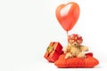 Little fluffy teddy bear wearing red heart shaped glasses and holding red balloon. Happy Valentine\'s Day. Presents in a red Royalty Free Stock Photo