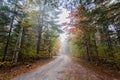 A little foggy road in Algonquin Provincial Park, Ontario, Canada