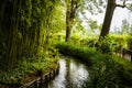 A little fork, leading to the main ponds in Water Garden, Giverny, Normandy, France