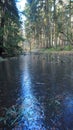 Little frozen creek with sunbeam