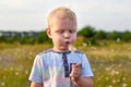 Little funny blond-haired boy blows on dandelions Royalty Free Stock Photo