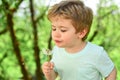 Little funny boy blowing dandelion. Happy small boy blowing dandelion flower outdoors. Child having fun in spring park Royalty Free Stock Photo