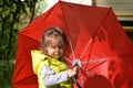 little funny cute girl walks in the rain with a red umbrella, in green rubber boots through the puddles. Laughs, has fun Royalty Free Stock Photo