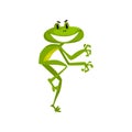 Little funny frog, cute green amfibian animal cartoon character vector Illustration on a white background Royalty Free Stock Photo