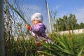 Little funny girl with fence