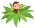 Little funny monkey Royalty Free Stock Photo