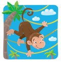 Little funny monkey on lians Royalty Free Stock Photo