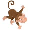 Little funny monkey Royalty Free Stock Photo