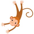 Little funny monkey Royalty Free Stock Photo