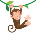 Little funny monkey Royalty Free Stock Photo