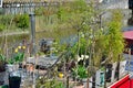 Little garden on a boat Royalty Free Stock Photo