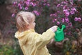 Little gardener Royalty Free Stock Photo