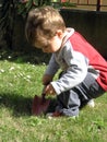 Little gardener