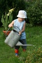 Little gardener boy