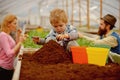 Little gardener. little gardener work with soil. little gardener in greenhouse. little gardener child planting flowers.