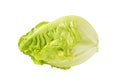 Little gem lettuce Royalty Free Stock Photo