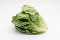Little Gem lettuce isolated on white background Royalty Free Stock Photo