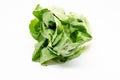 Little Gem lettuce isolated on white background Royalty Free Stock Photo
