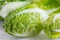 Little gem lettuce on white Royalty Free Stock Photo