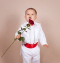 Little gentleman Royalty Free Stock Photo