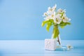 Little gift box and bouquet of tender white flowering branches in glass vase on blue wooden background Royalty Free Stock Photo