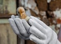 little ginger chick in the palms of a man Royalty Free Stock Photo