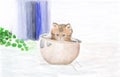 Little ginger kitten in a bowl for food