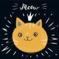 Little ginger kitten. MEOW lettering.