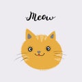 Little ginger kitten. Meow text. Vector isolated illustration.