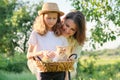 Little ginger kitten sitting in basket, in arms of mother and daughter child Royalty Free Stock Photo