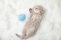 Little ginger kitten sleeps on a white carpet. Sleep. relaxation